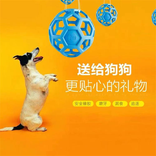 Petmate美国JW好力球狗玩具球漏食橡胶磨牙呼吸球益智解闷几何球 - 图0