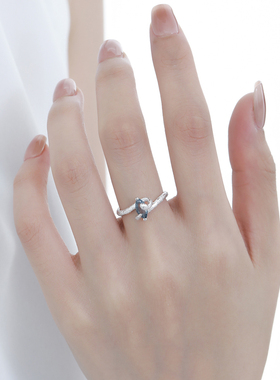 禾派 钉砂蛇蓝锆戒指冷淡风S925纯银小众百搭高级感戒指