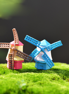 diy多肉植物造景大风车房子摆件