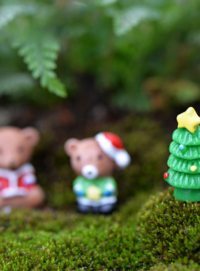 diy多肉植物苔藓微景观圣诞树