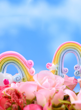 多肉苔藓微景观彩虹云朵装饰品