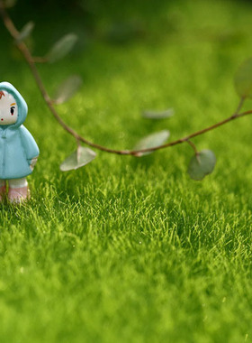 diy草皮假青苔材料多肉微景观