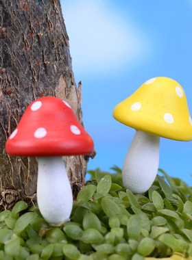 苔藓微景观蘑菇多肉植物装饰摆件