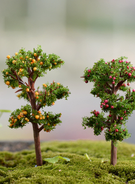 diy苔藓微景观多肉植物摆件