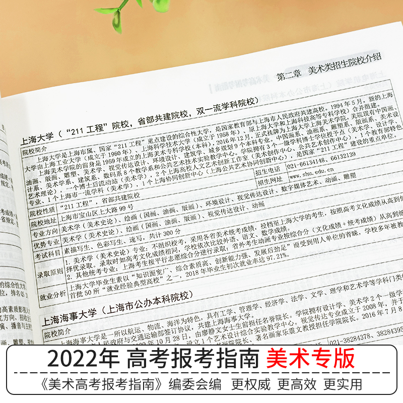 美术高考志愿填报指南高考艺术生美术类校考院校简介及录取分数线速查统考联考新高考志愿填报书一本通大数据软件规划咨询卡-图2