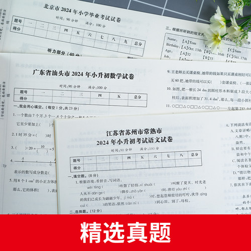 2025小升初真题卷语文数学英语必刷题人教版小学毕业升学总复习资料六年级下册试卷测试卷全套练习册名校模拟期末专项训练书2024年 - 图3