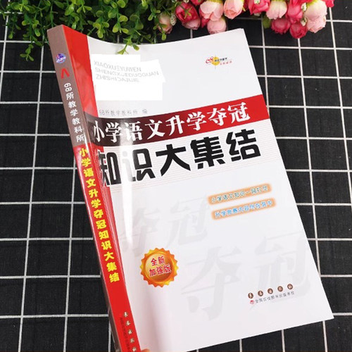 小学语文升学夺冠知识大集结全套人教版小升初名校冲刺总复习六年级下册必刷题68所名校专项训练小学毕业升学必刷卷资料书 - 图1