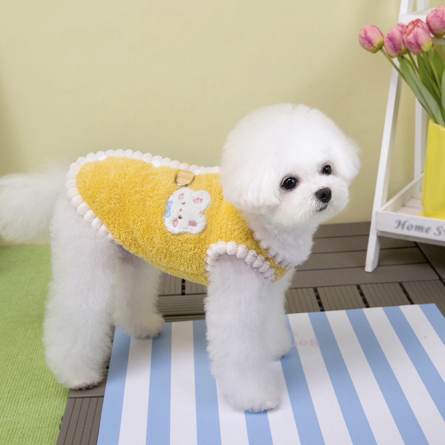 宠物服装小型犬狗衣服猫咪秋冬保暖舒适新款25雪尼尔绒背心休闲,淘宝优惠券,粉丝福利购,淘宝优惠卷