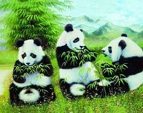 3D立体画pet光栅客厅防水是米航