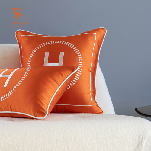 抱枕沙发客厅现代简约高级轻奢靠枕套可拆卸酒店品牌定制橙色腰枕 - 图3