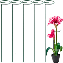 Plant Anti-Lodging Volt Bracket Iron Art Embroidered Ball Chandelia Support Rod Gardening fixed frame Climbing Vine flower Zhu top red flower shelf