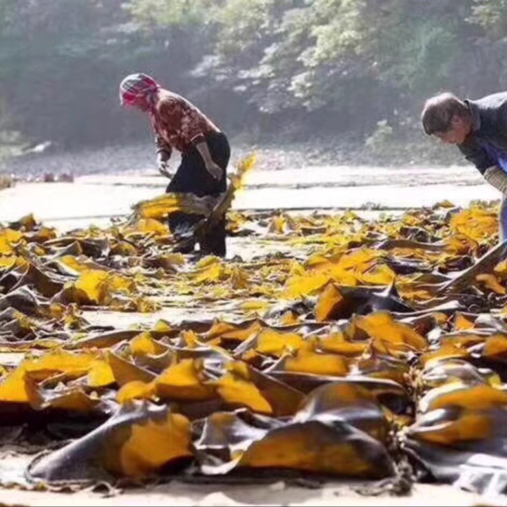 海带结天源小海带结20gx10包干净无沙泡了就吃炖汤凉拌干货包邮 - 图3