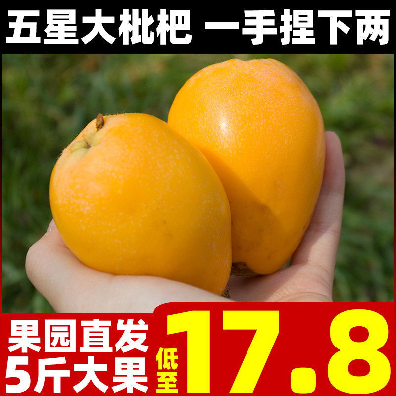 正宗四川攀枝花米易枇杷当季新鲜水果5斤整箱包邮早钟琵琶果五星