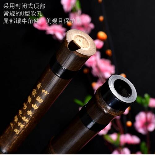 天然紫竹洞箫g调八孔洞箫8孔成人学生初学者a调演奏f调送自学秘籍 - 图0