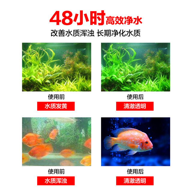 Debon nitrifying bacteria water purifier water quality stabilizer