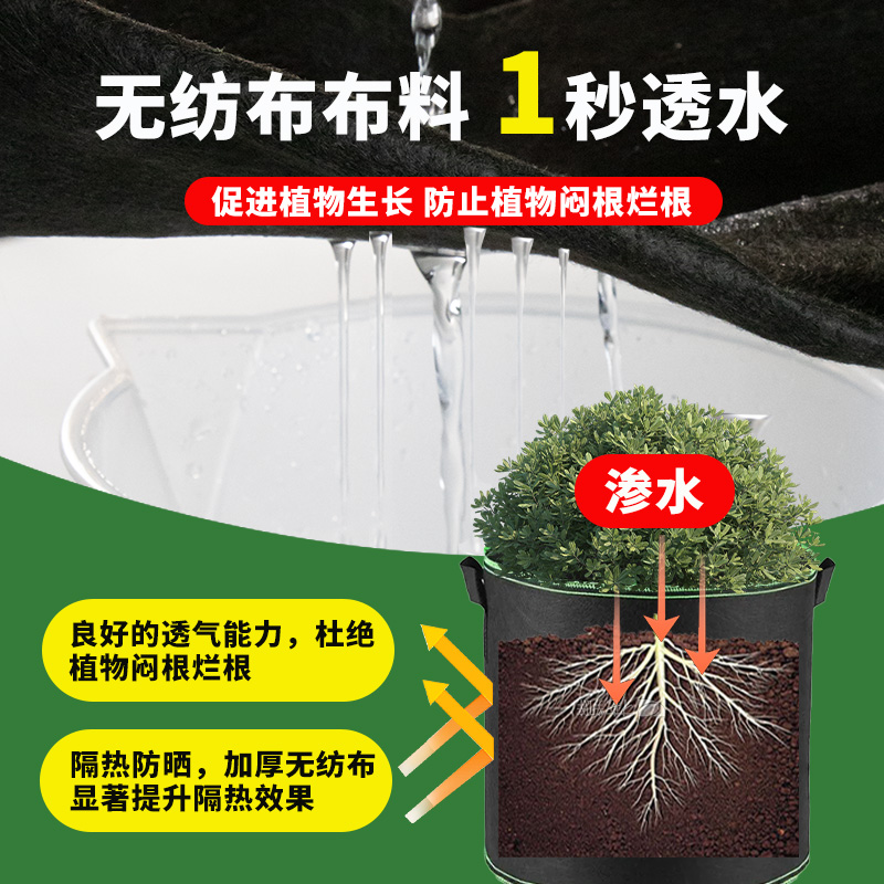 美植袋花盆家用种植袋植树无纺布大号加厚耐用袋果树种菜阳台楼顶 - 图1