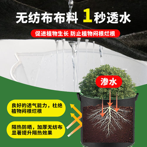 美植袋加厚无纺布种植袋黑色种树专用袋植树袋育苗袋出口加仑阳台 - 图0