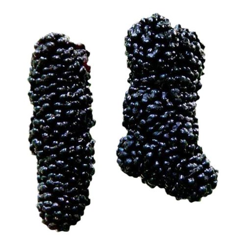 桑葚树苗无籽大十台湾长果果桑苗桑椹苗桑葚苗地栽盆栽占地果树苗 - 图3