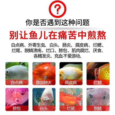 庆大霉素精粉热带鱼金鱼锦鲤烂肉烂尾炸鳞立鳞充血烂鳃水族鱼药龟 虎窝淘