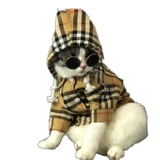 Tide, толстовка с капюшоном, рубашка, легкая и тонкая куртка