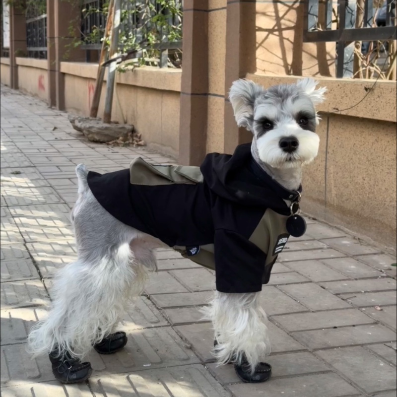 狗狗衣服小型犬雪纳瑞比熊泰迪夏季薄款卫衣宠物透气连帽小狗衣服-图0