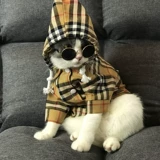 Tide, толстовка с капюшоном, рубашка, легкая и тонкая куртка