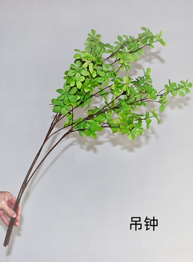 仿真树叶吊钟发财叶室内造景装饰