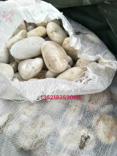 灰白色白色石头石子天然鹅卵石装饰铺面石子路填缝健身路鱼池铺底 - 图0