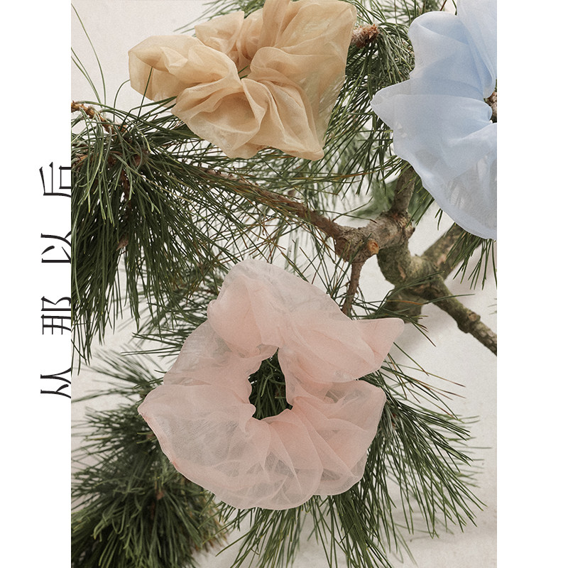 从那以后大肠发圈头绳高级感头花发饰橡皮筋扎头发绳女春2024新款,淘宝优惠券,粉丝福利购,淘宝优惠卷