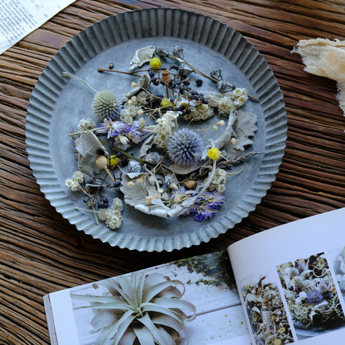 【复古风干花材料】短枝真植物标本相框diy花艺手作绣球欧式树叶 - 图0