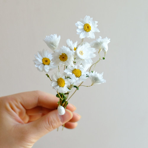 【复古风干花材料】短枝真植物标本相框diy花艺手作绣球欧式树叶 - 图1