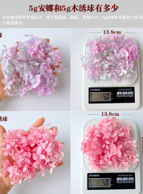 氧气植物与花艺永生绣球5g装
