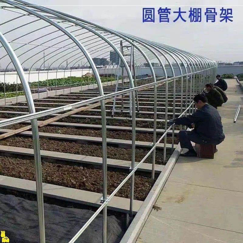 养殖大棚全套大棚骨架家用温室种植棚专业养鸡棚羊棚牛棚养猪大棚 - 图2