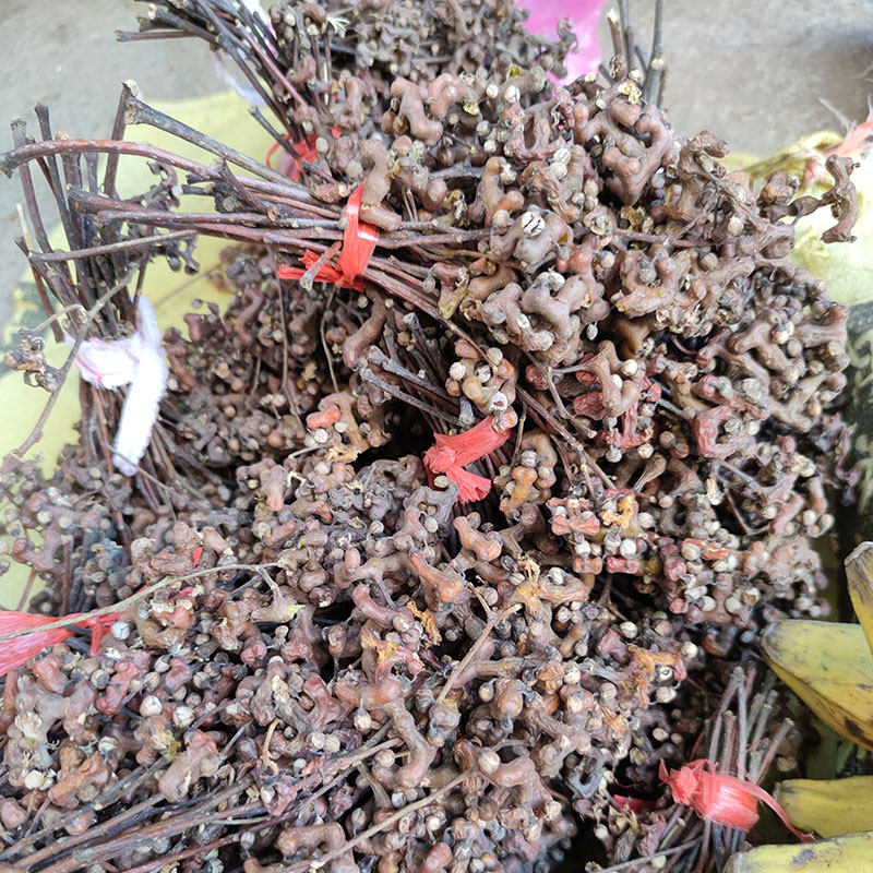 拐枣新鲜万寿子晒干万寿果野生天然农家拐枣水果鸡爪梨500克包邮,淘宝优惠券,粉丝福利购,淘宝优惠卷