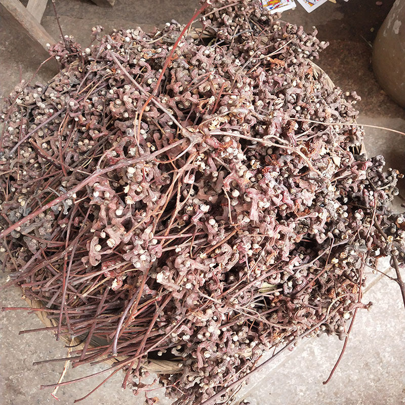 拐枣新鲜万寿子晒干万寿果野生天然农家拐枣水果鸡爪梨500克包邮,淘宝优惠券,粉丝福利购,淘宝优惠卷