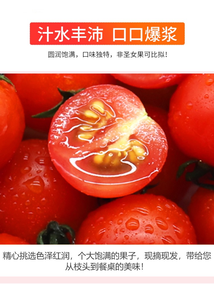 特价！绿行者樱桃番茄三斤