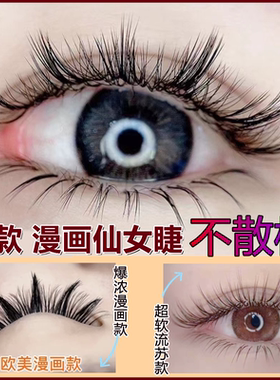 松之崎漫画款睫毛浓密型爆款美睫一取多根无背胶太阳花蓬松种睫毛