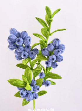 扭扭棒蓝莓手工DIY材料包