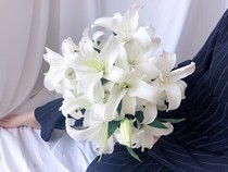 High quality three-headed Siberian white lilies