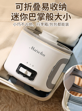 110v电煮锅多功能一人食便携折叠