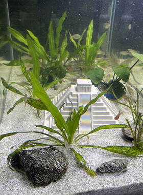 栩元玛雅金字塔鱼缸造景装饰水泥