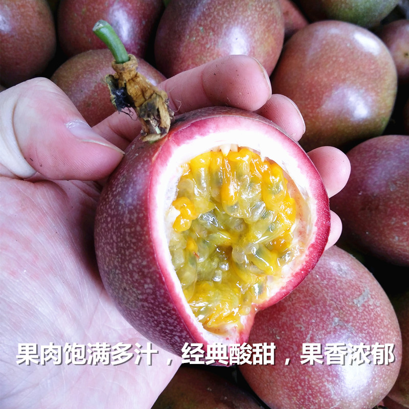 食本精选紫香一级大果百香果图片_1