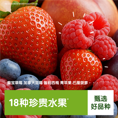 小皮宝石果泥婴标果泥辅食零食