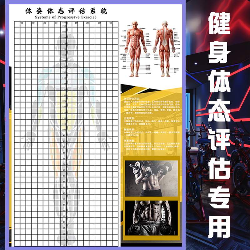 2022新版健身房瑜伽馆私教体姿体态评估图表体测背景墙贴壁画墙纸-图2