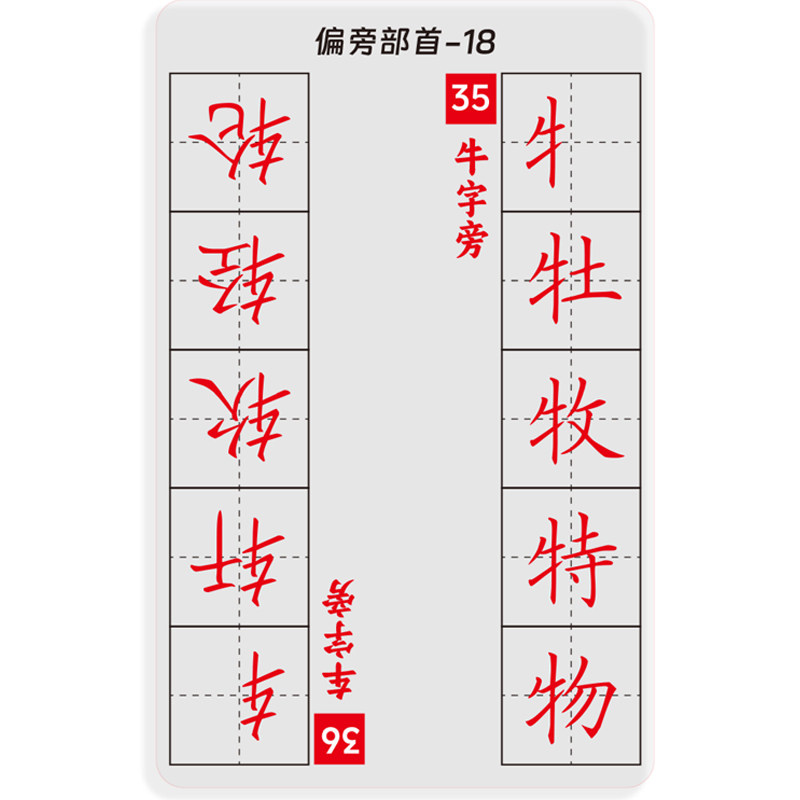 《新透明字卡》笔画+偏旁初学硬笔小学生规范字临写校对临摹卡
