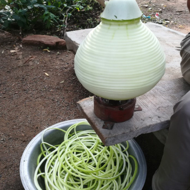 一斤葫芦条干货承德农家手工葫芦条食用葫芦条干货细条