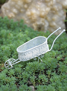 白沙园艺铁艺微景观摆件田园