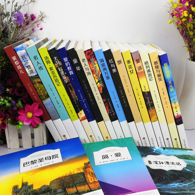 全20册世界二十大名著巴黎圣母院老人与海爱的教育钢铁是怎样炼成的青春文学经典影响一生的读物世界名著中文版书籍畅销书排行榜-图0
