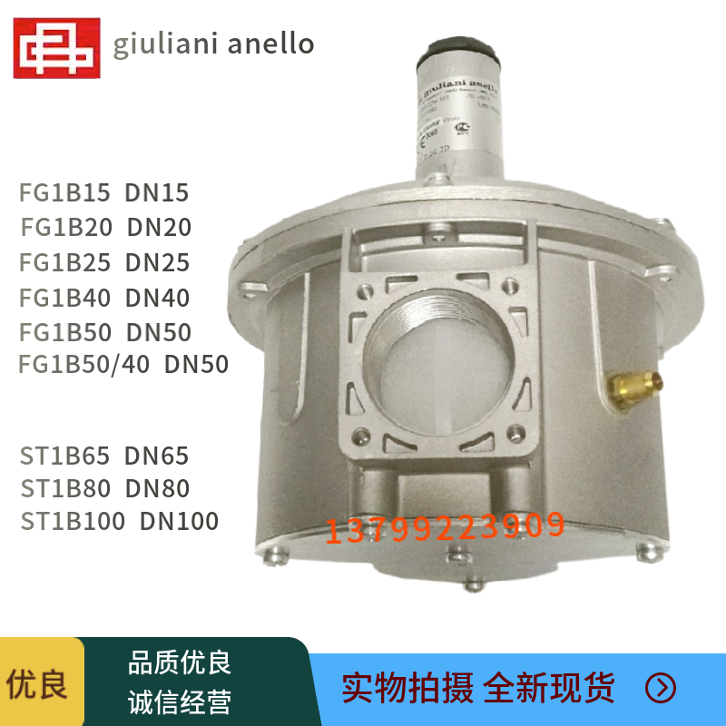 意大利天然气调压阀FG1B25燃气减压阀FG1B40系列 - 图1