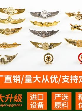 飞行员胸章航空胸章 海航南航国航航空胸章保安胸章配饰 铁路胸章